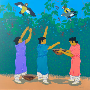 The Choke Cherry Harvest
